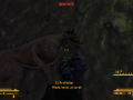 FalloutNV 2012-05-15 02-52-06-92.png